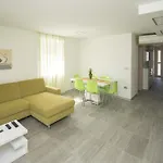 Danex Premium